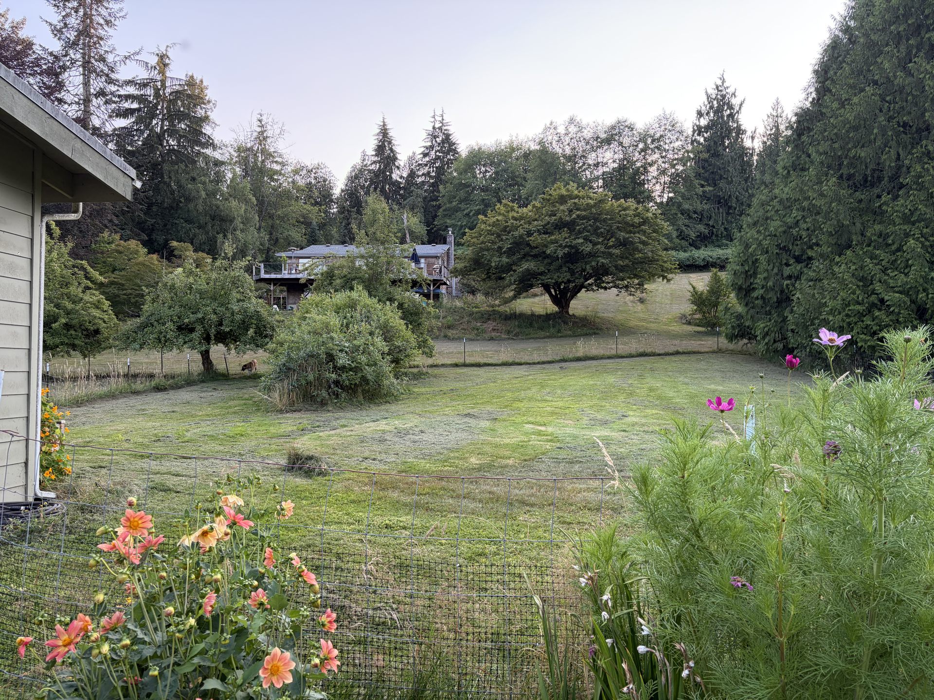 Grassy yard with flower beds and the farmhouse in the distance