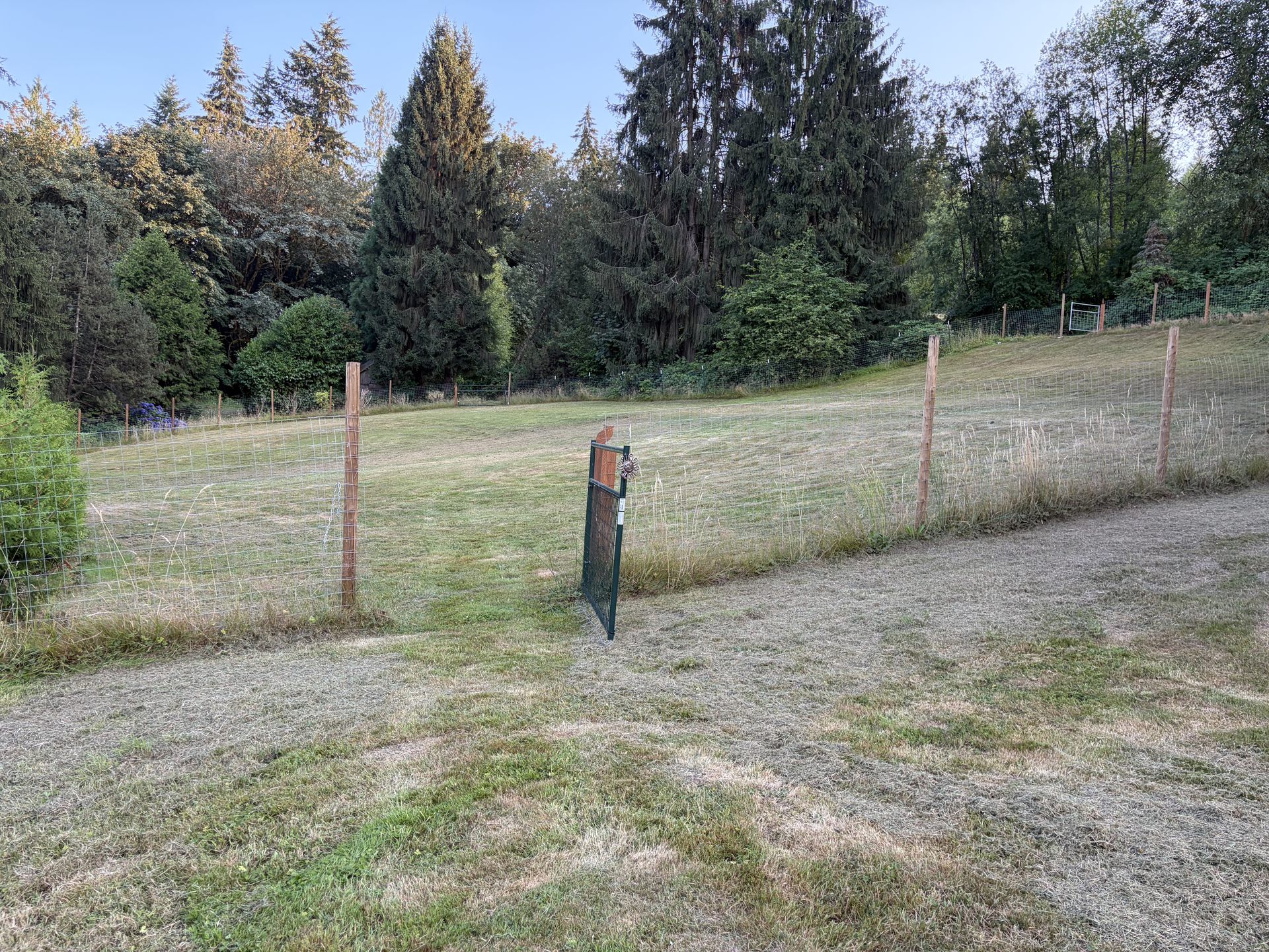 Securely fenced grass yard with a gated entrance
