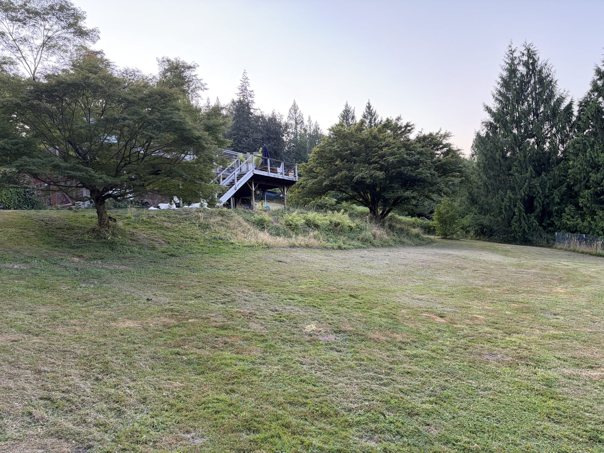 Open lawn below the elevated deck, framed by trees