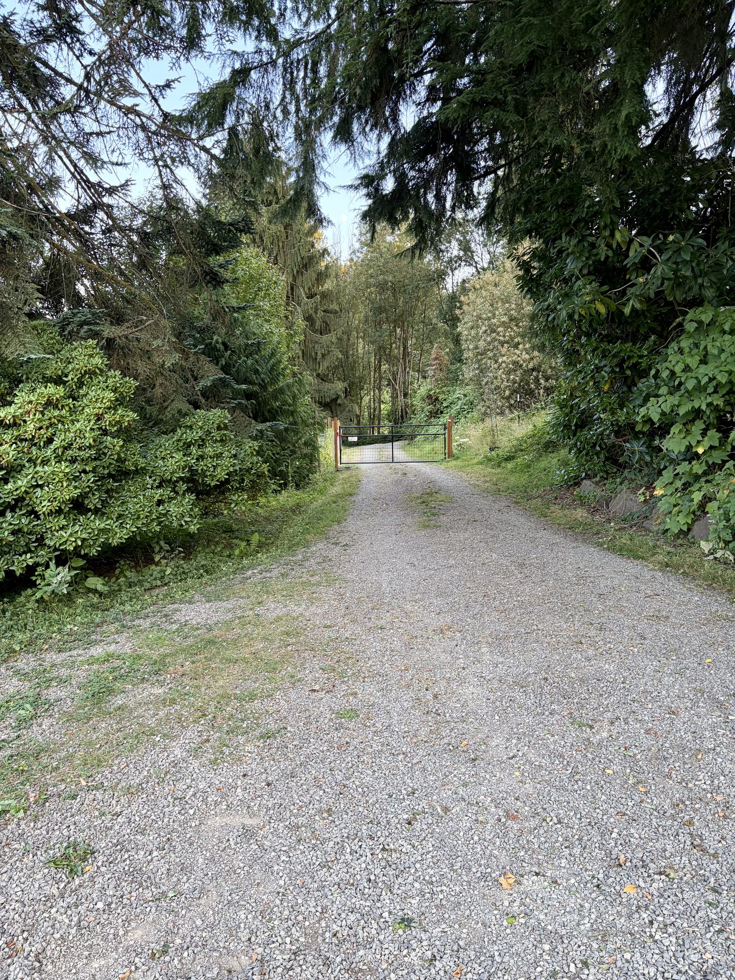 Gravel driveway leading to the property's gated entrance