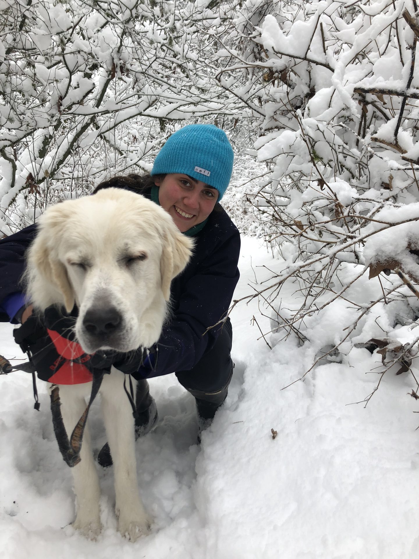 Rachel, owner of High Bridge Dog Retreat, in the snow with a rescue dog